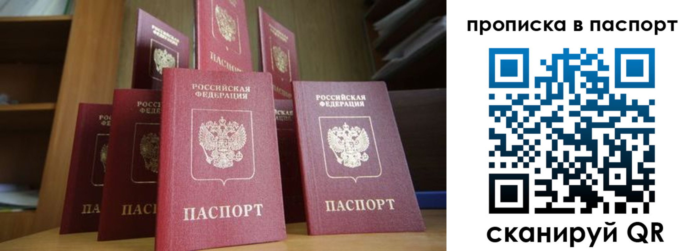 временная регистрация гарантия в Королёве